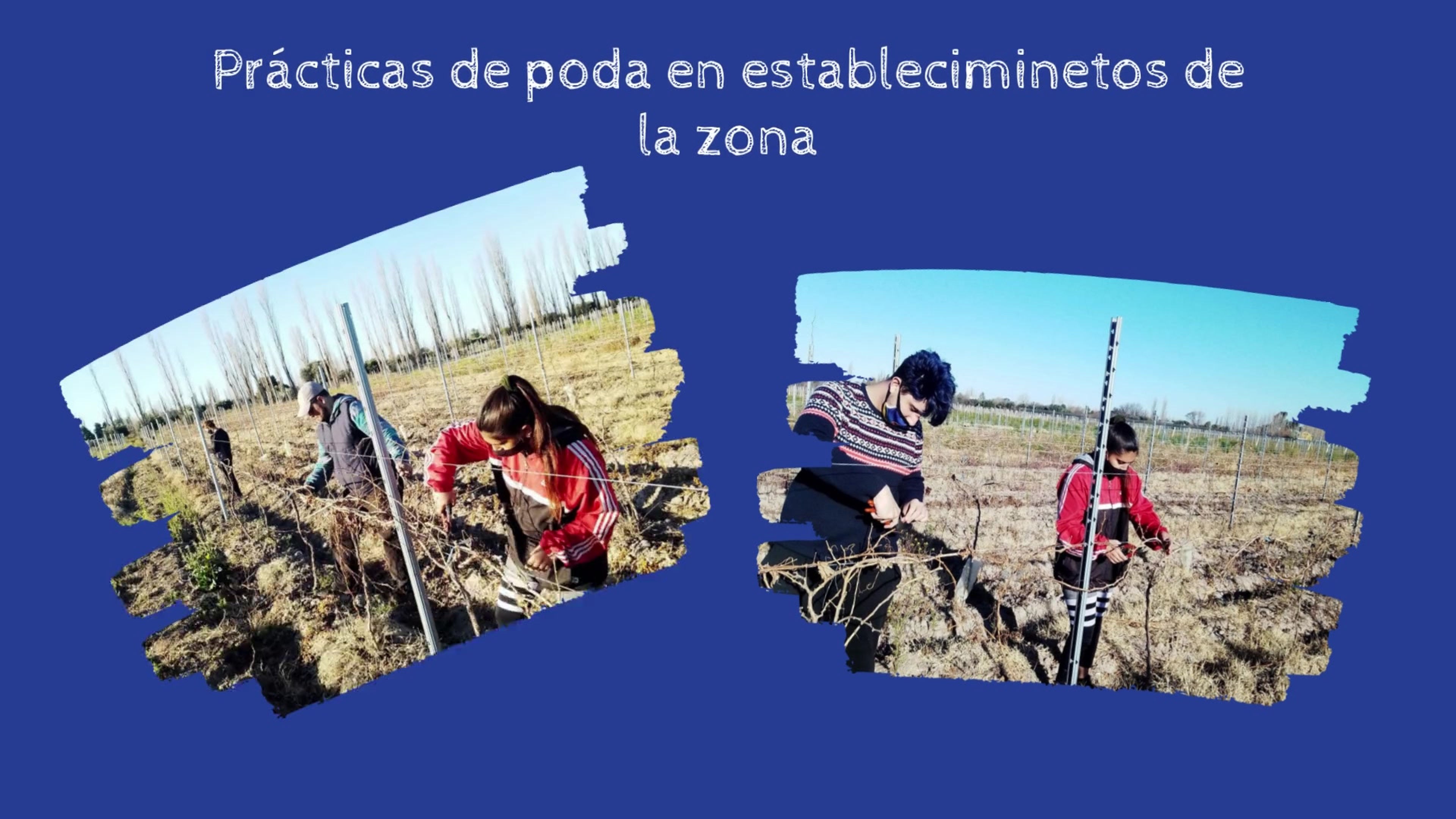 Todos los videos